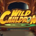 Wild Cauldron