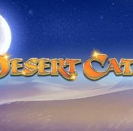 Desert Cats