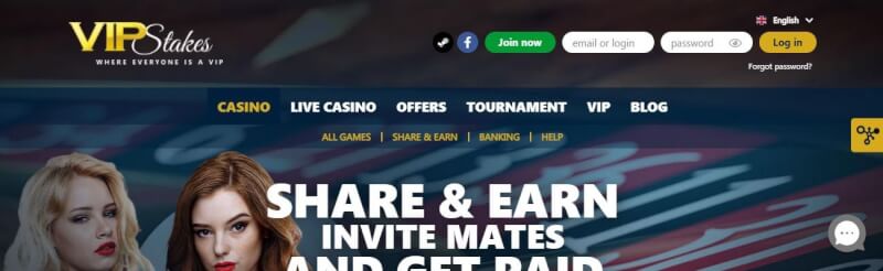vip stakes assistance choices review-logo