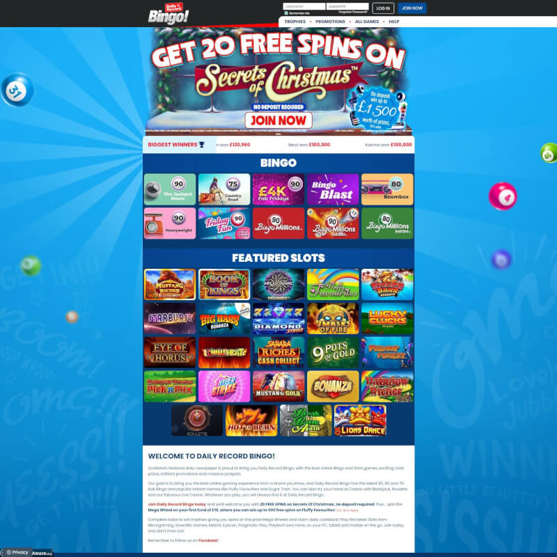 frequent Record Bingo screenshot 1