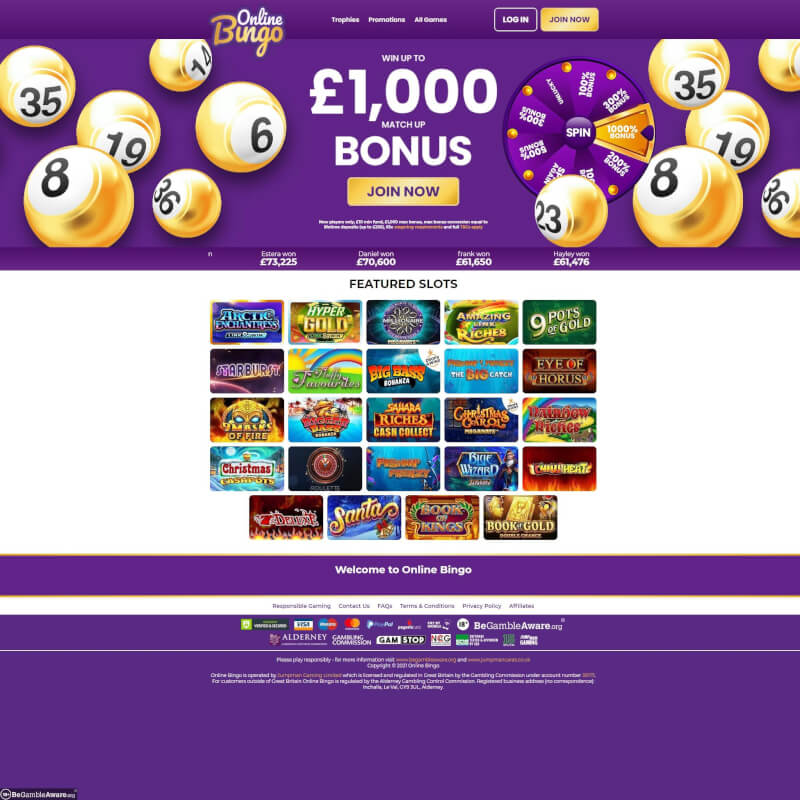Online Bingo Casino screenshot 1